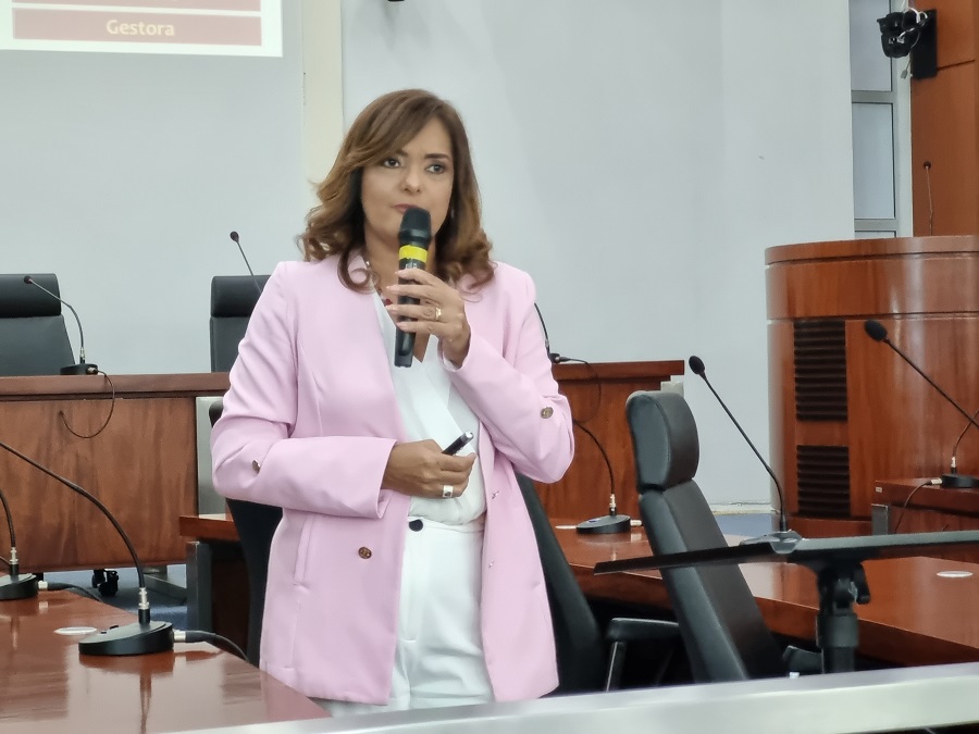 Saúde Mental no Trabalho é tema de palestra na Câmara Municipal de Ipatinga