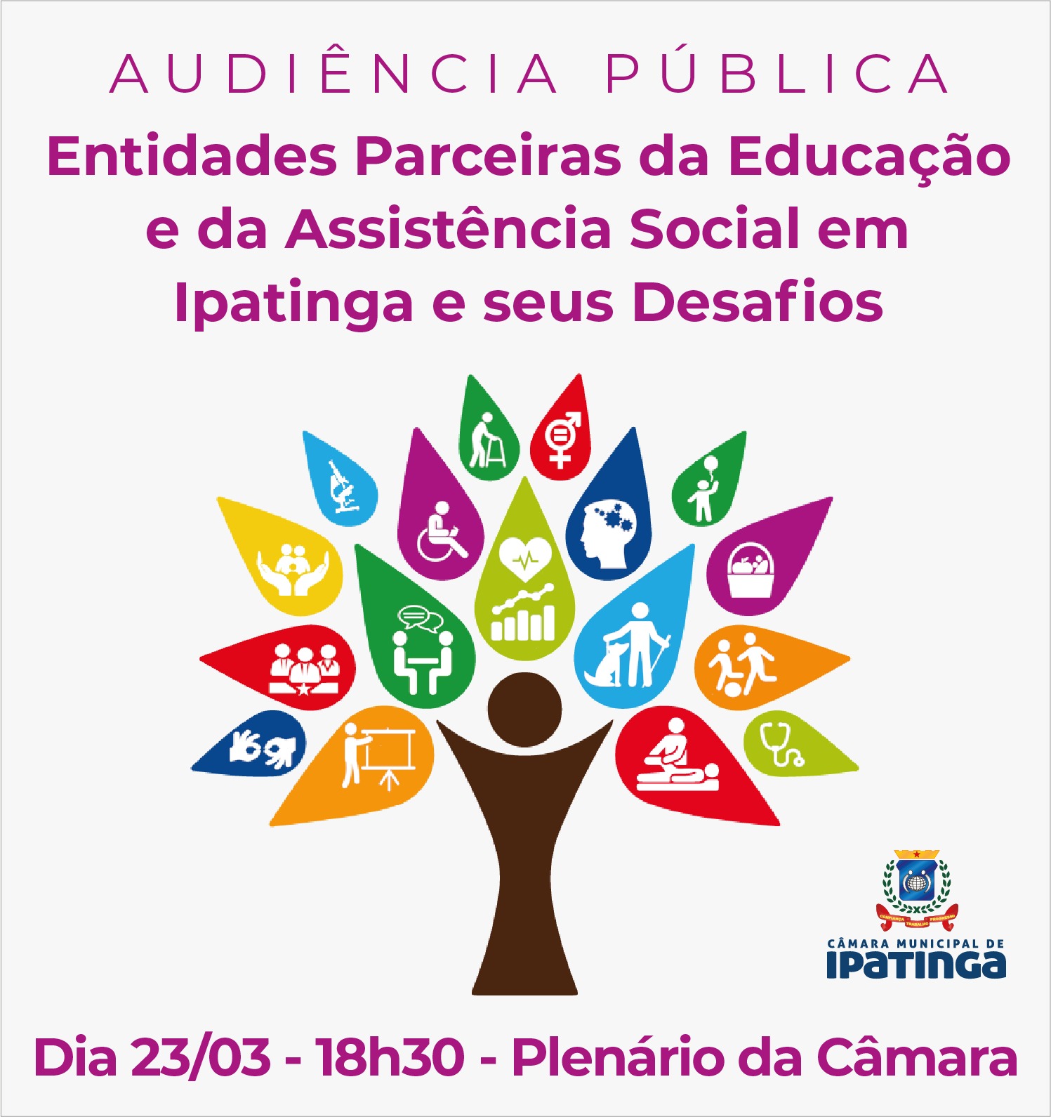 Audiência Pública: As Entidades Parceiras da Educação e da Assistência Social em Ipatinga e seus Desafios
