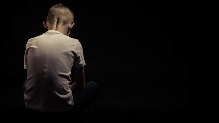 Audiência pública discute o combate ao abuso e à exploração sexual de crianças e adolescentes