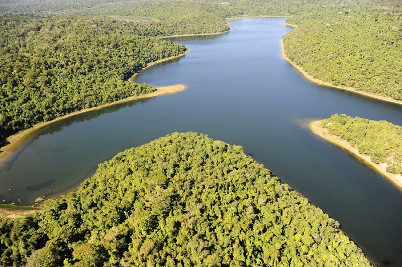 Audiência Pública discutirá meio ambiente e atuação do CDDN