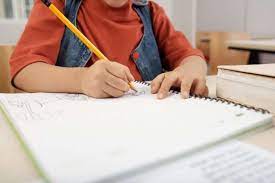 Aprovado projeto que classifica a educação como essencial em Ipatinga