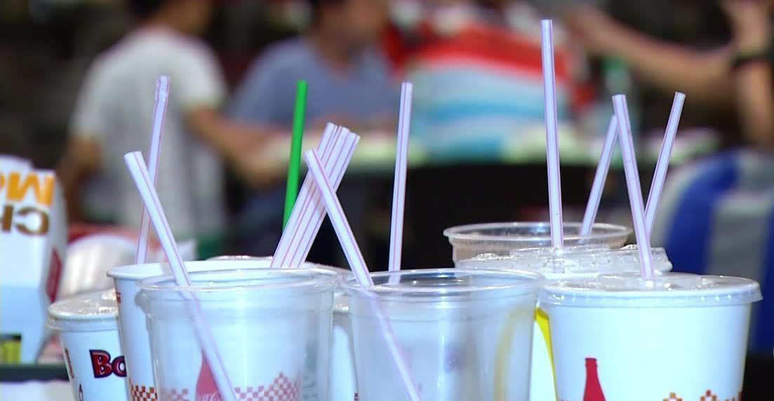 Câmara segue tendência nacional e proíbe fornecimento de canudos de plástico