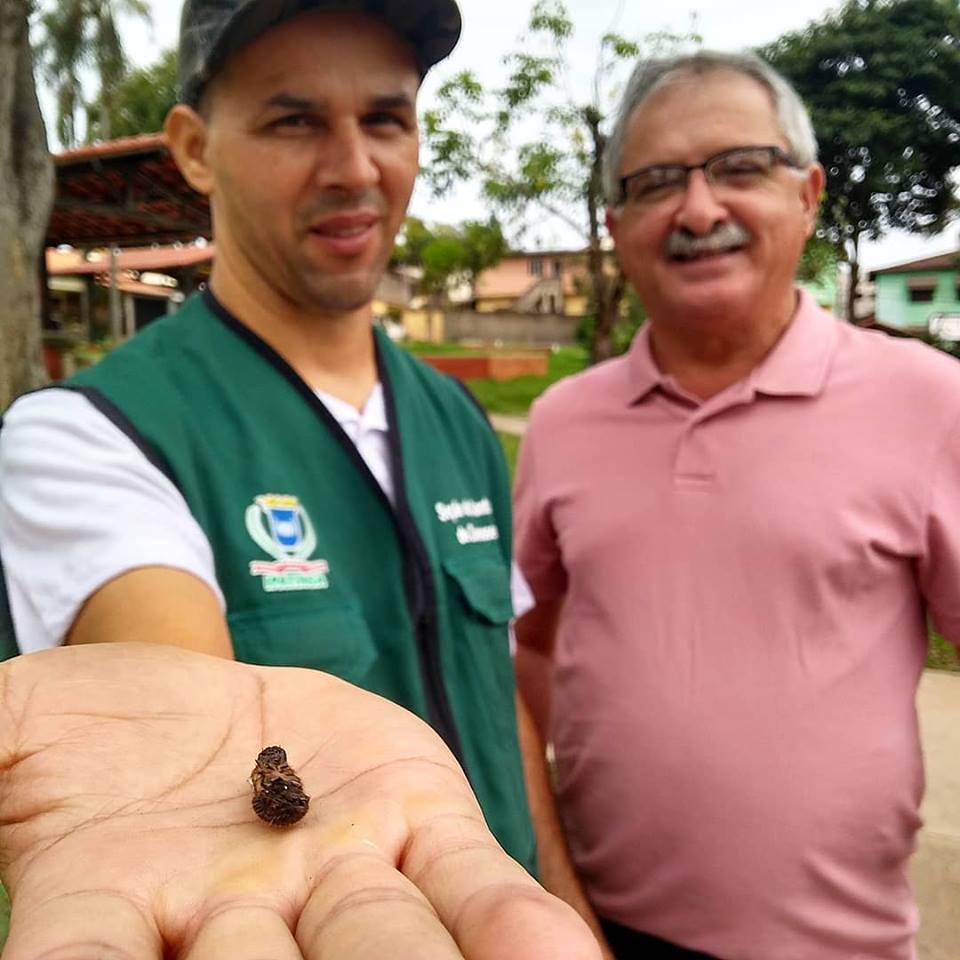 Dia Mundial do Meio Ambiente
