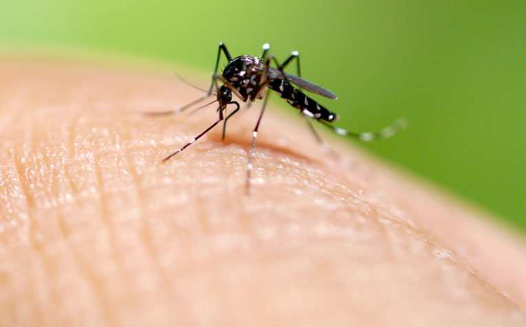 Audiência Pública - Ações Metropolitanas no Combate ao Mosquito Aedes Aegypti